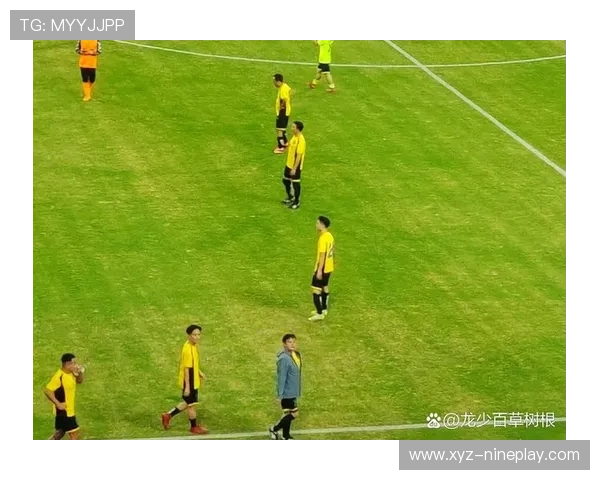 纯情足球星：青春与梦想交织的绿茵场上的热血追逐与成长故事